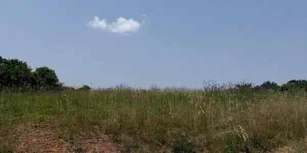 Image 3: The View on Norcross