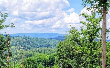 Lot 7R2 E Kings Ridge Rd