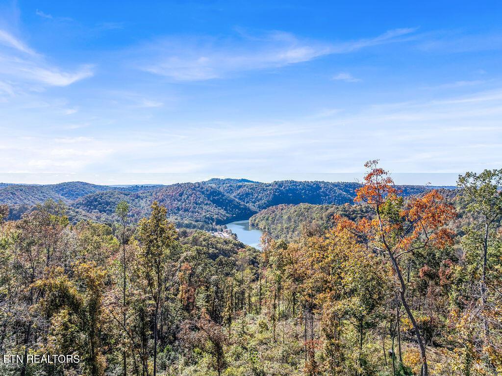 Image 2: Drone Friendship Hollow