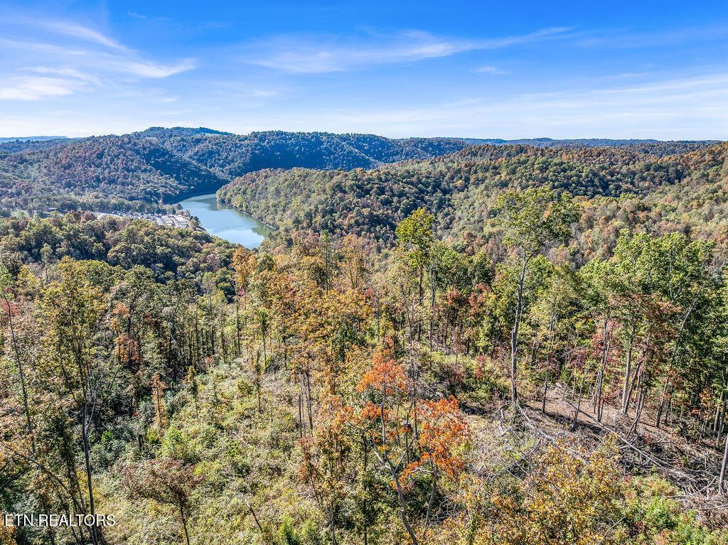 Image 3: Drone Friendship Hollow