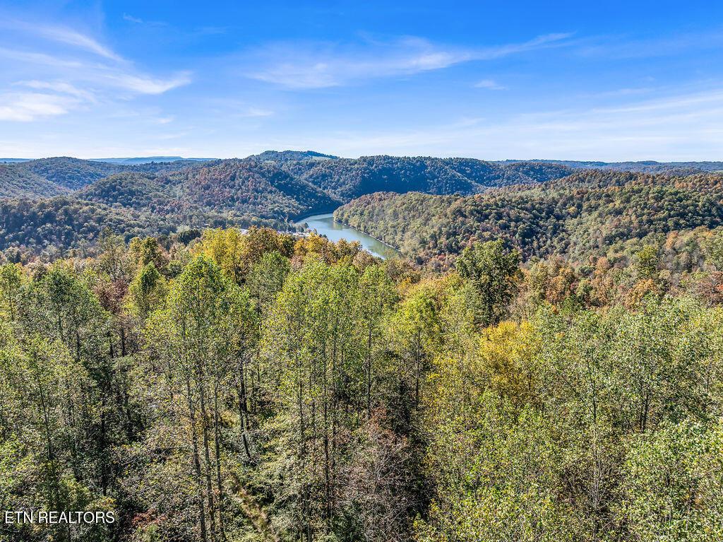 Image 4: Drone Friendship Hollow