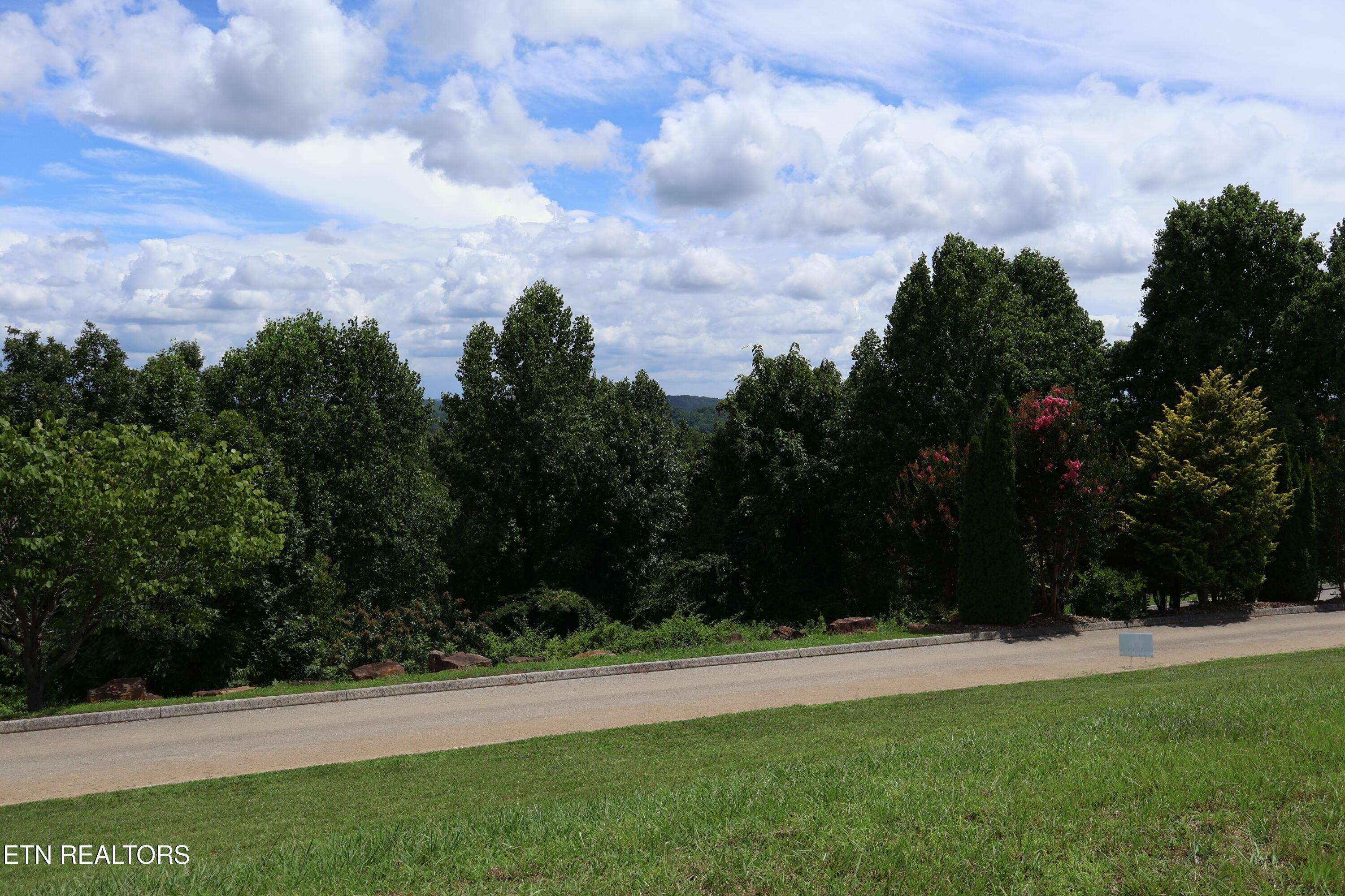 Image 4: IMG_0252