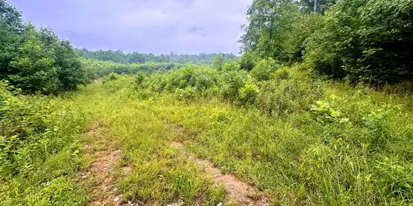 13.44 Chestnut Ridge Rd