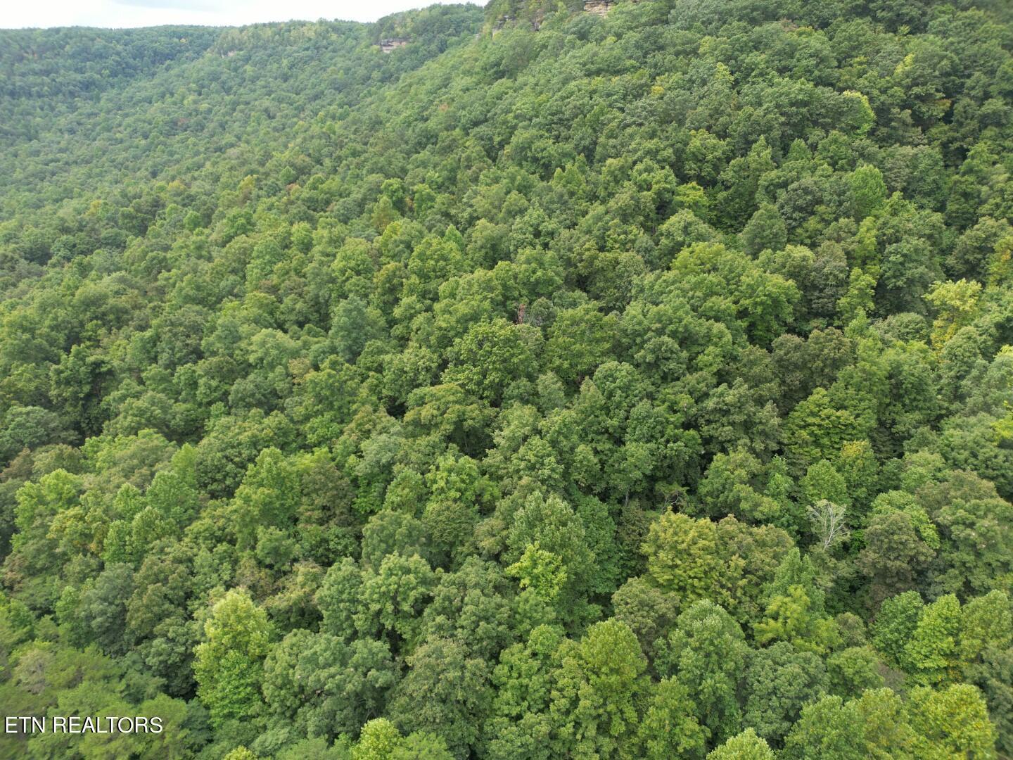 Image 3: DJI_0353 (Large)