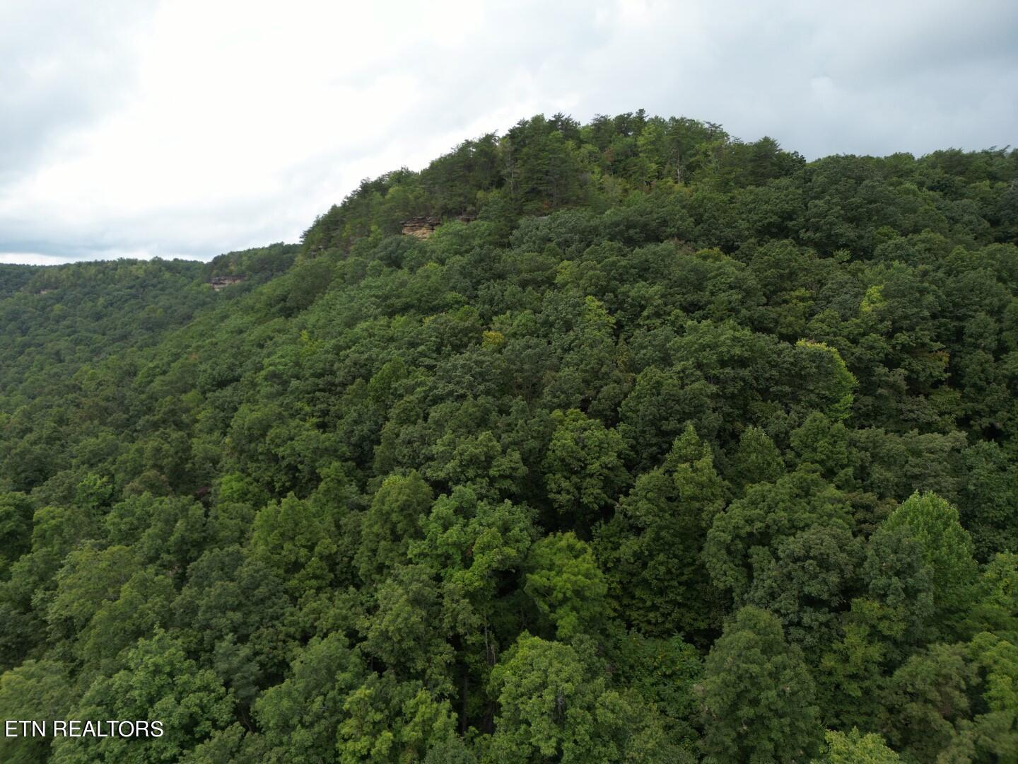 Image 4: DJI_0355 (Large)