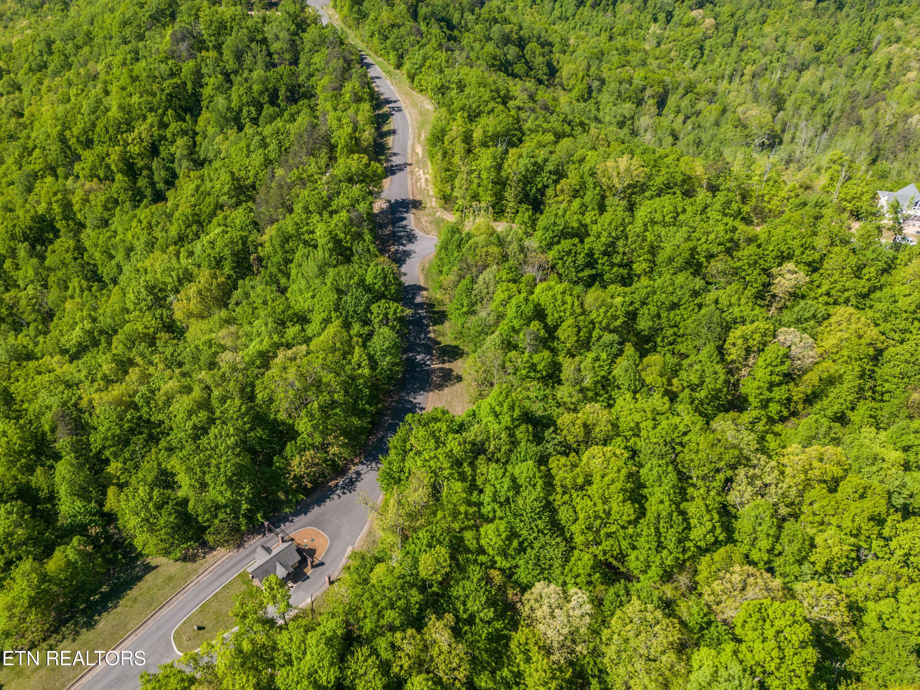 Image 4: DJI_0014