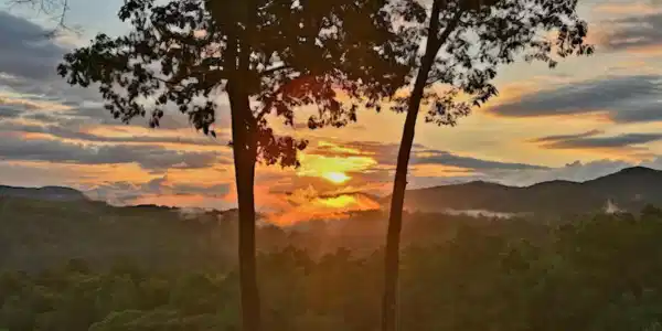 Image 3: Rise and Shine !