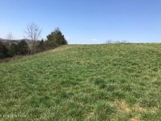 Image 4: IMG_1641