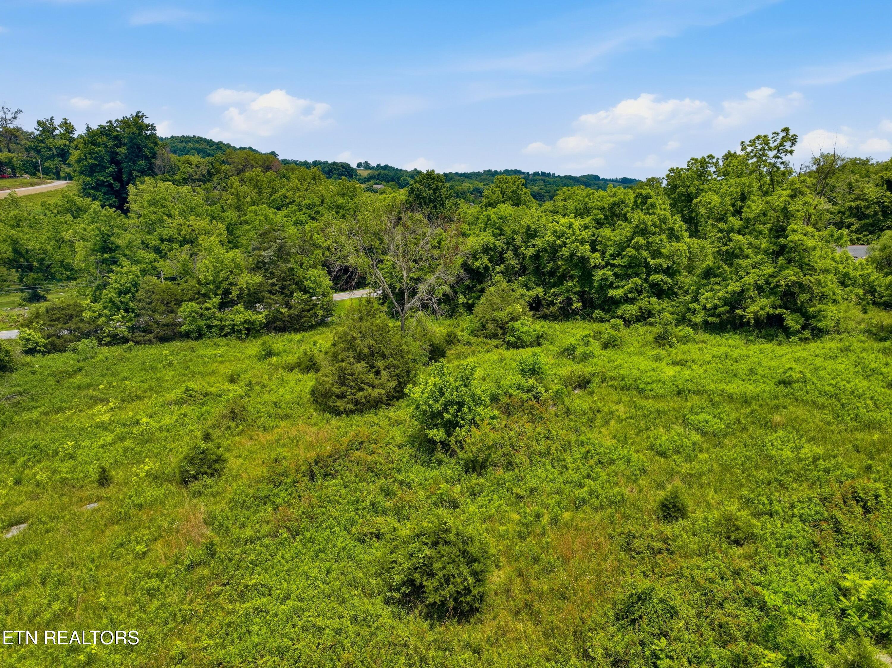 Image 3: 010-136ClinchViewLane-Washburn-TN-37888-