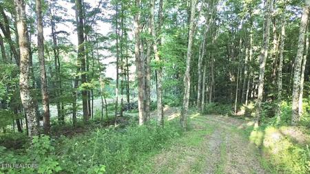 183 Persimmon Lane