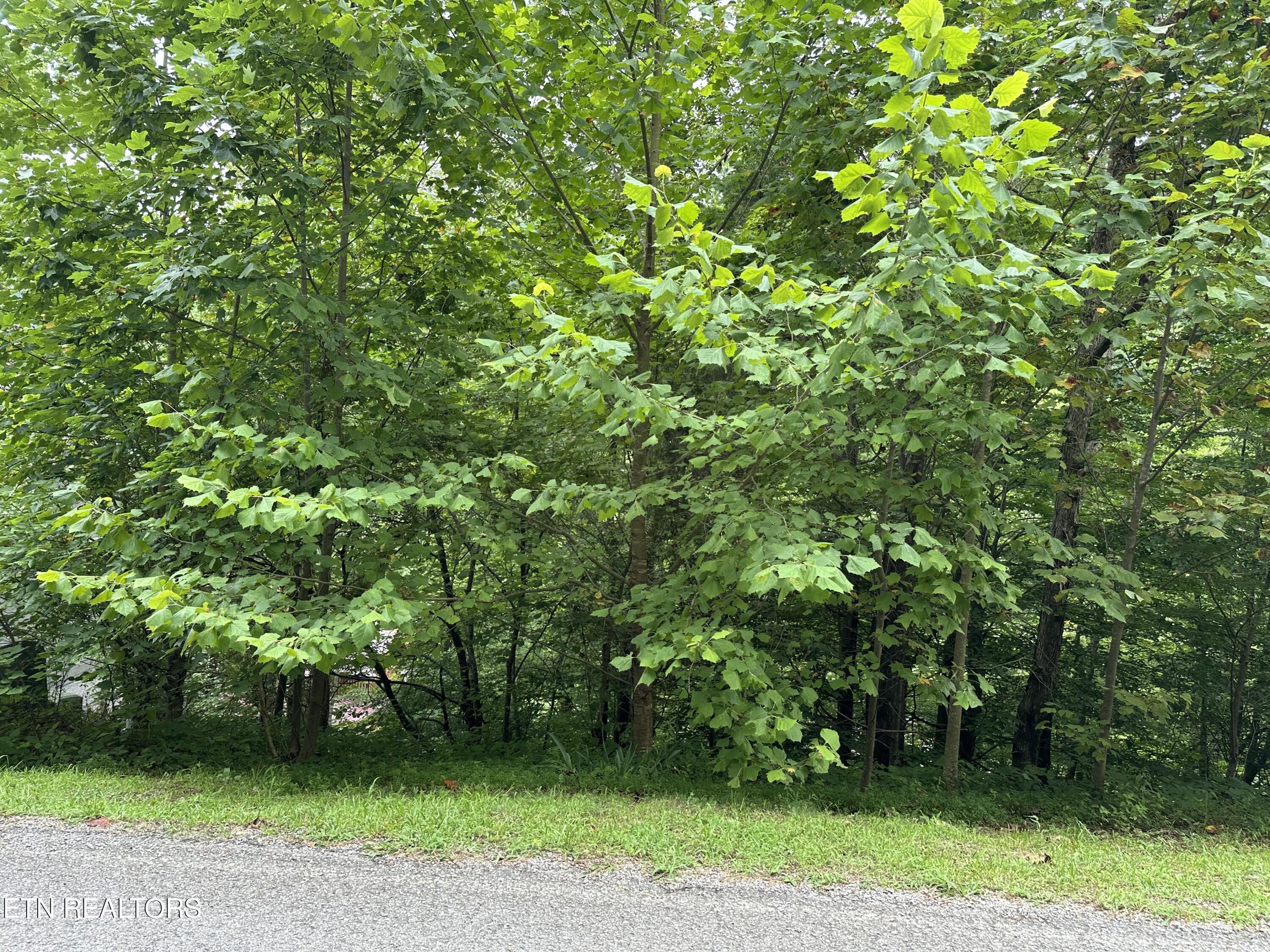 Image 3: IMG_2825