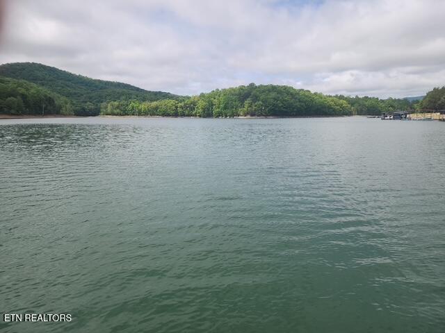 Image 2: 431 Powell Valley Marine Rd (72)