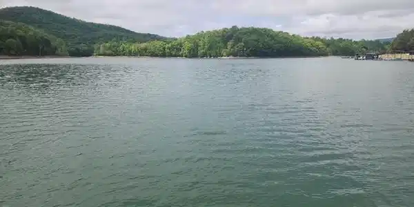 Image 2: 431 Powell Valley Marine Rd (72)