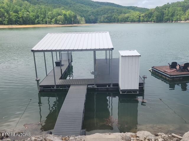 Image 3: 431 Powell Valley Marine Rd (66)