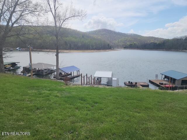 Image 4: 431 Powell Valley Marine Rd (67)