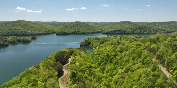 Image 2: L#s 31/60&61 Norris Shores, Norris Lake