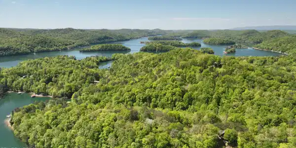 Image 3: L#s 31/60&61 Norris Shores, Norris Lake