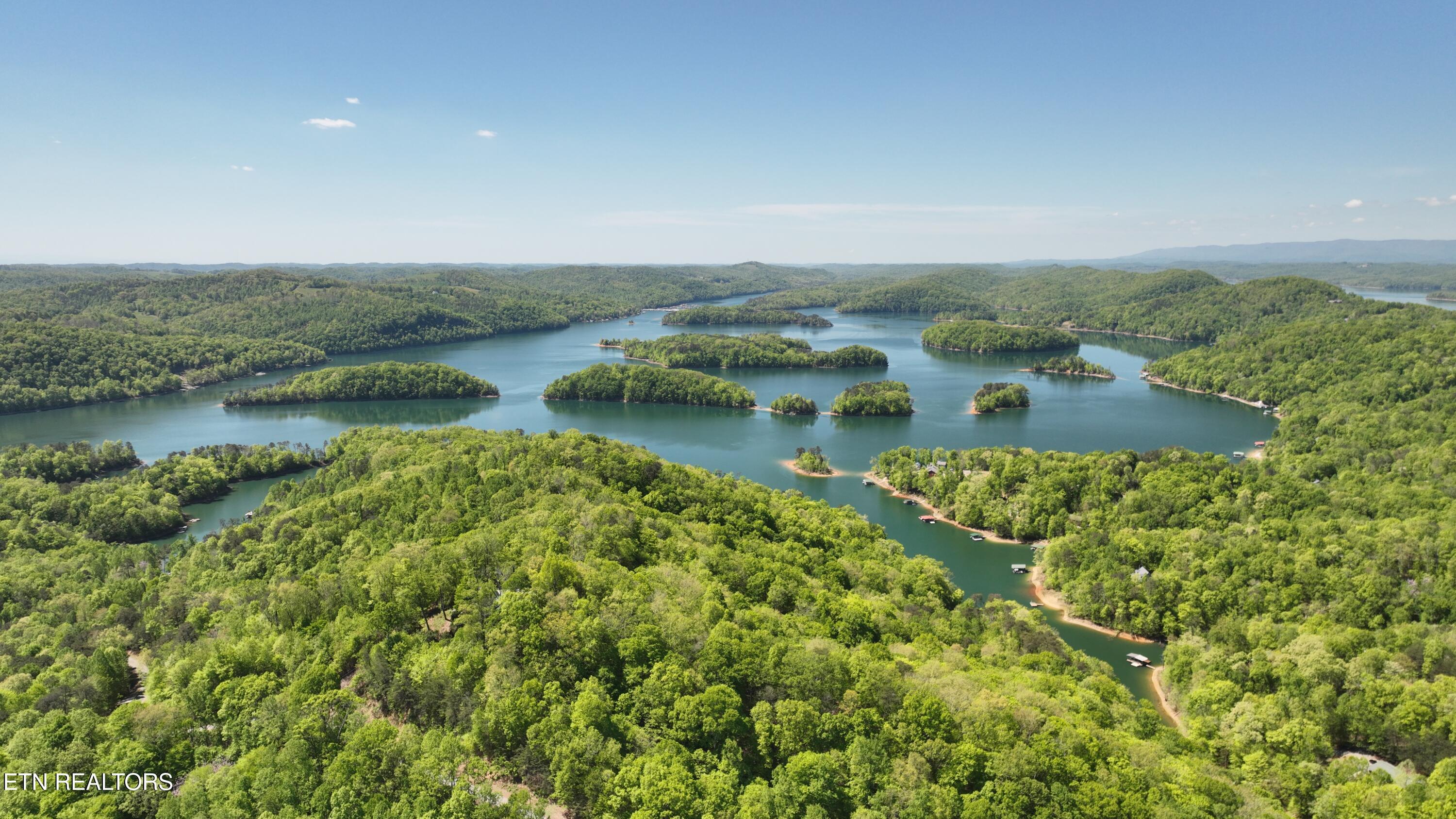 Image 4: L#s 31/60&61 Norris Shores, Norris Lake