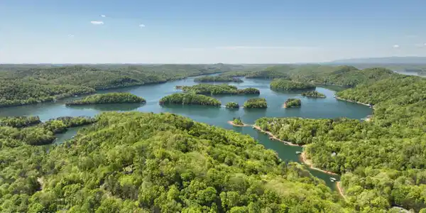 Image 4: L#s 31/60&61 Norris Shores, Norris Lake