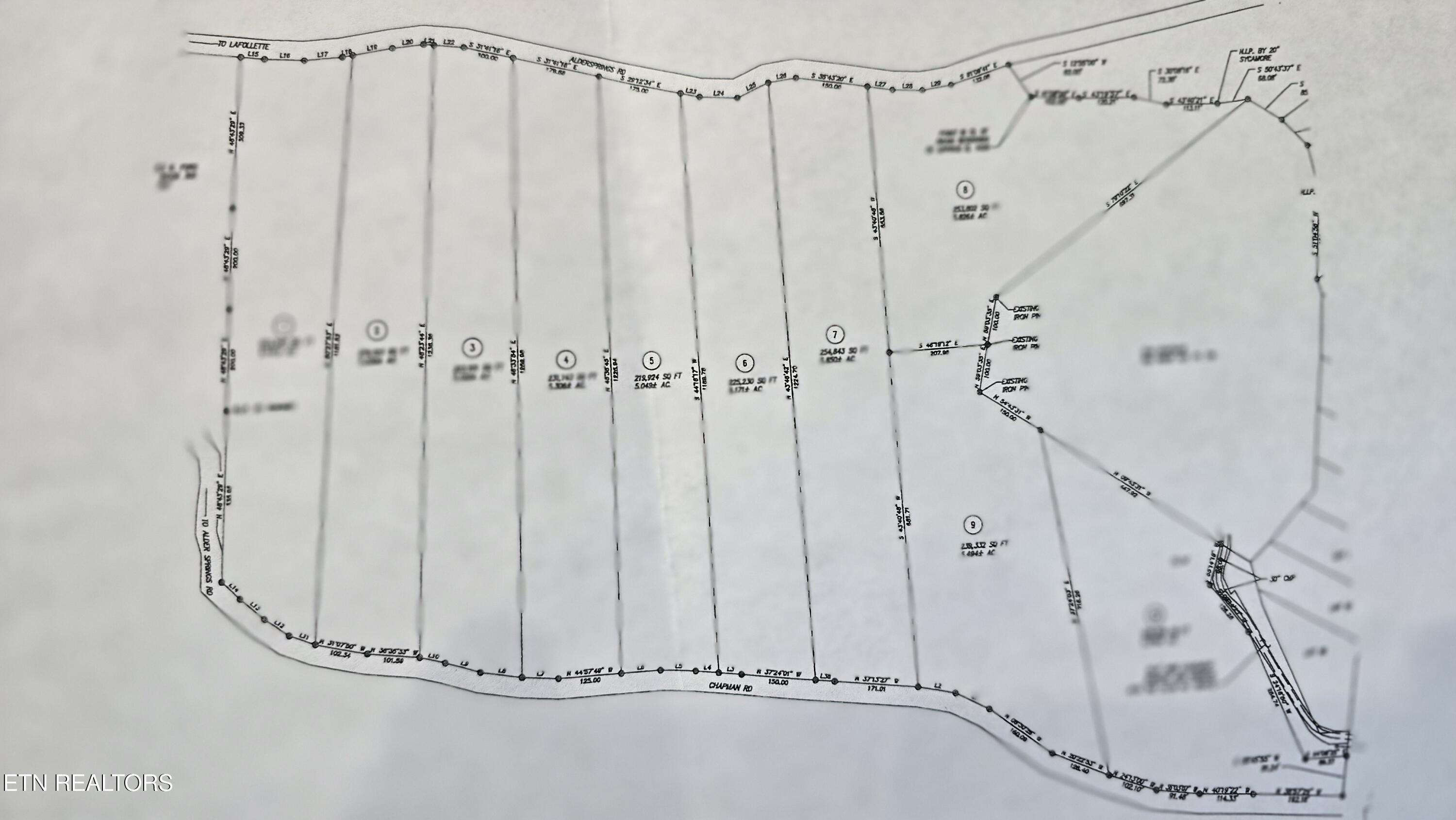 Image 4: Survey 1