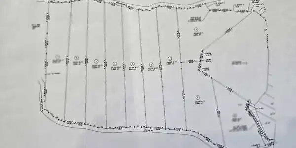 Image 4: Survey 1