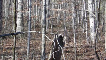 Lot 46 Cheyenne Drive