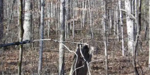 Lot 46 Cheyenne Drive