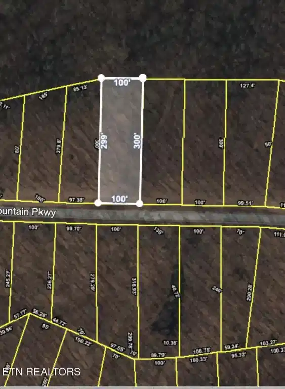 Image 1: Lines are apx- not guaranteed.