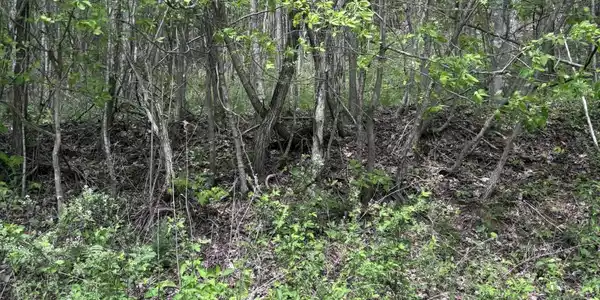 Chimney Rock Rd