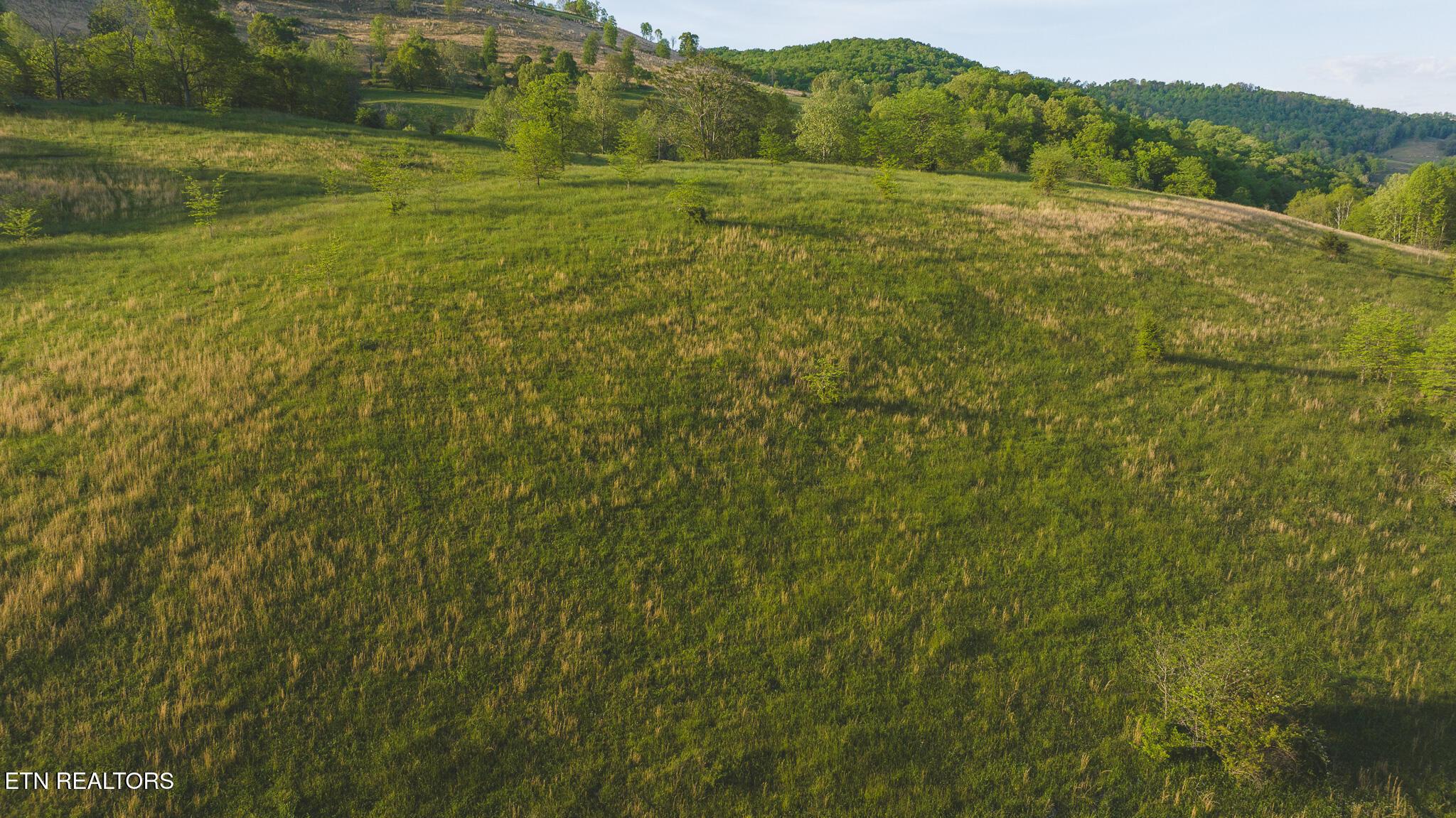 Image 2: DJI_20240502185713_0976_D