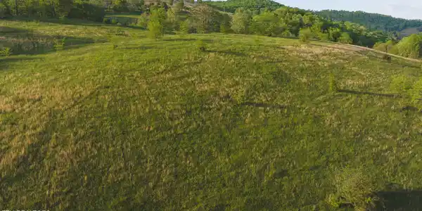 Image 2: DJI_20240502185713_0976_D