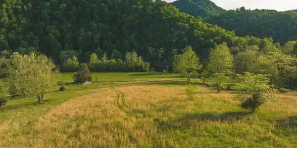 Image 3: DJI_20240502185734_0978_D
