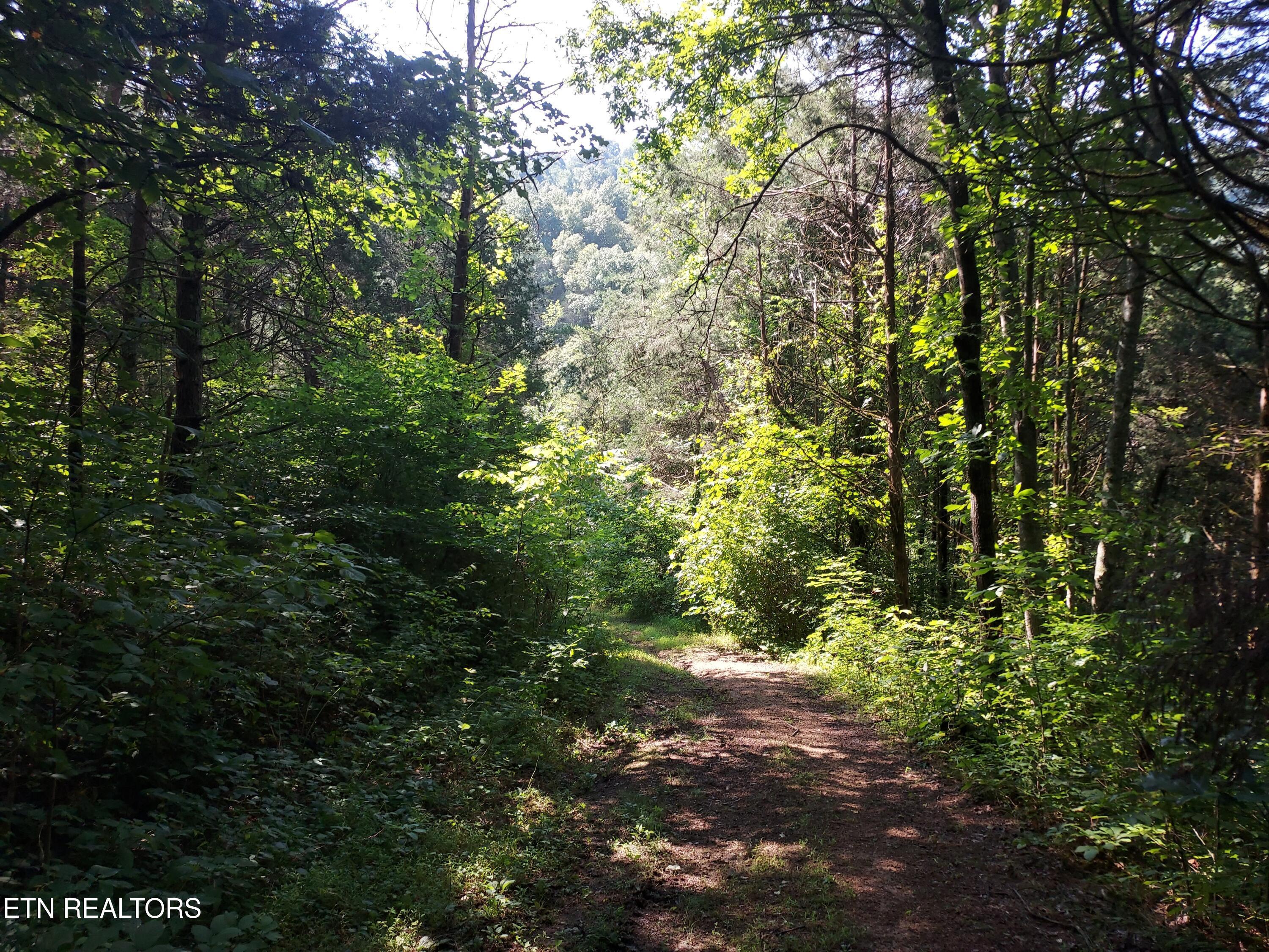 Image 1: 20240805_110228