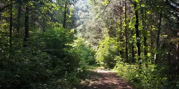 779 PawPaw Rd