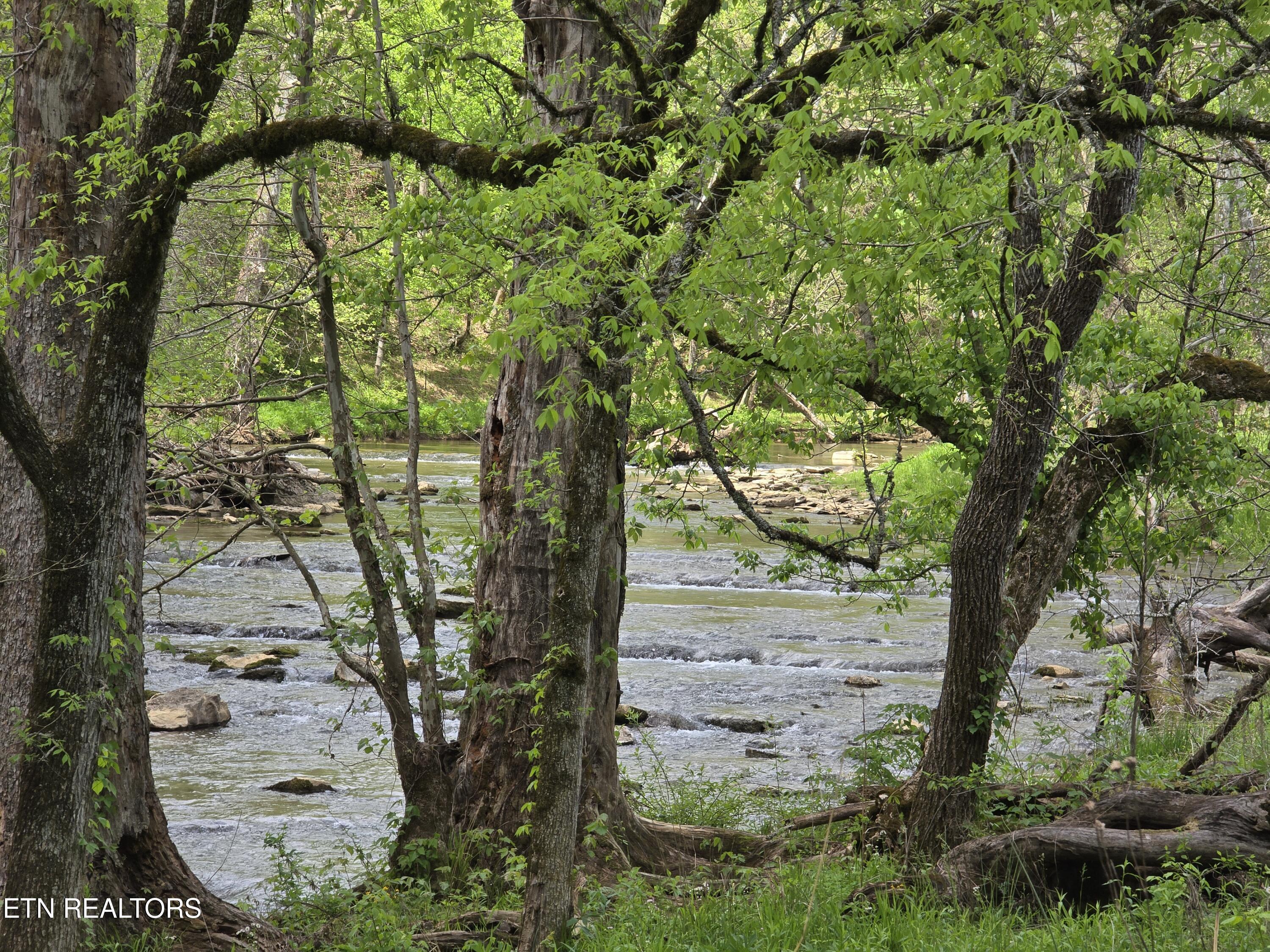 Image 3: 20250424_135347