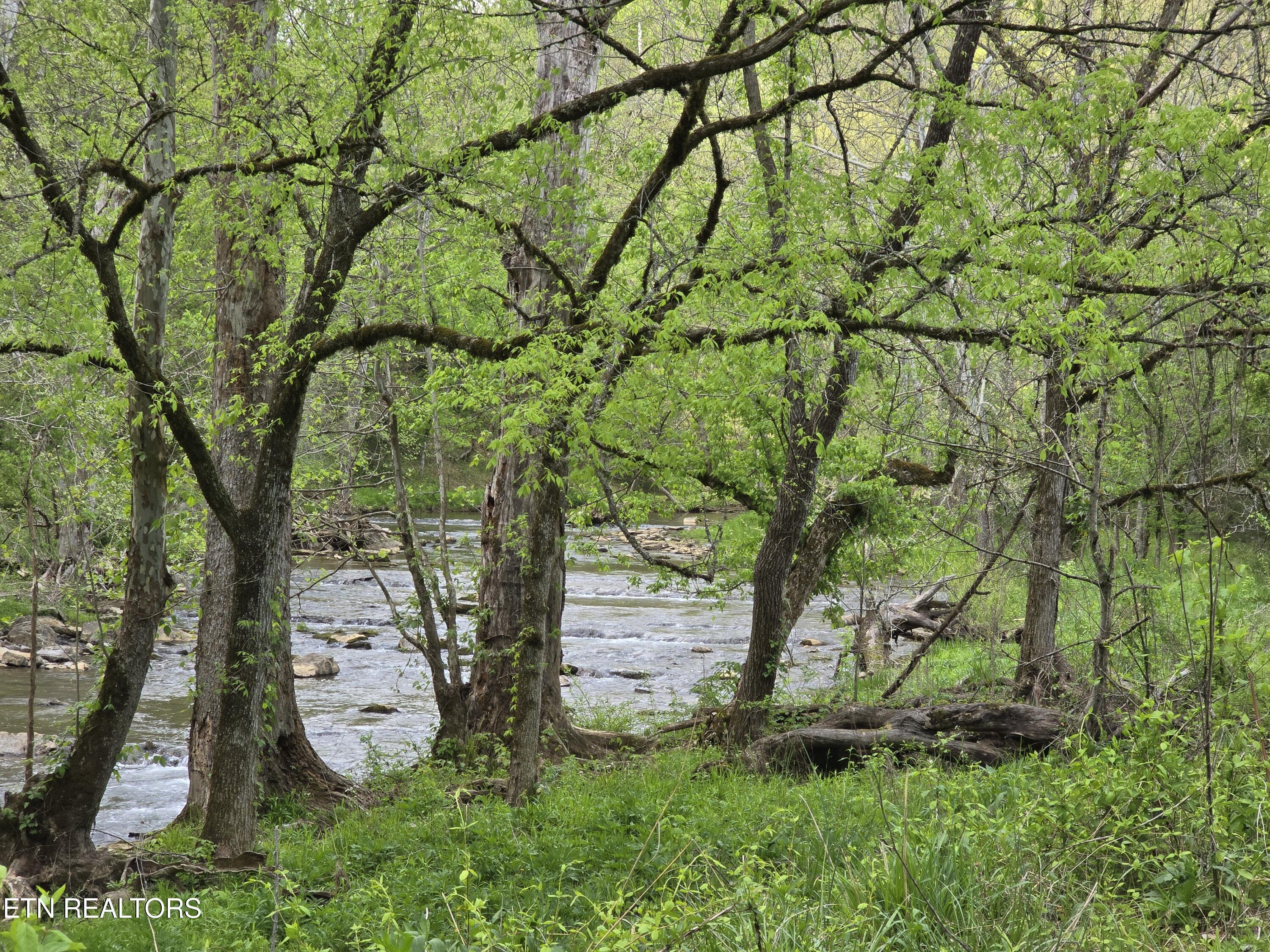 Image 4: 20250424_135357