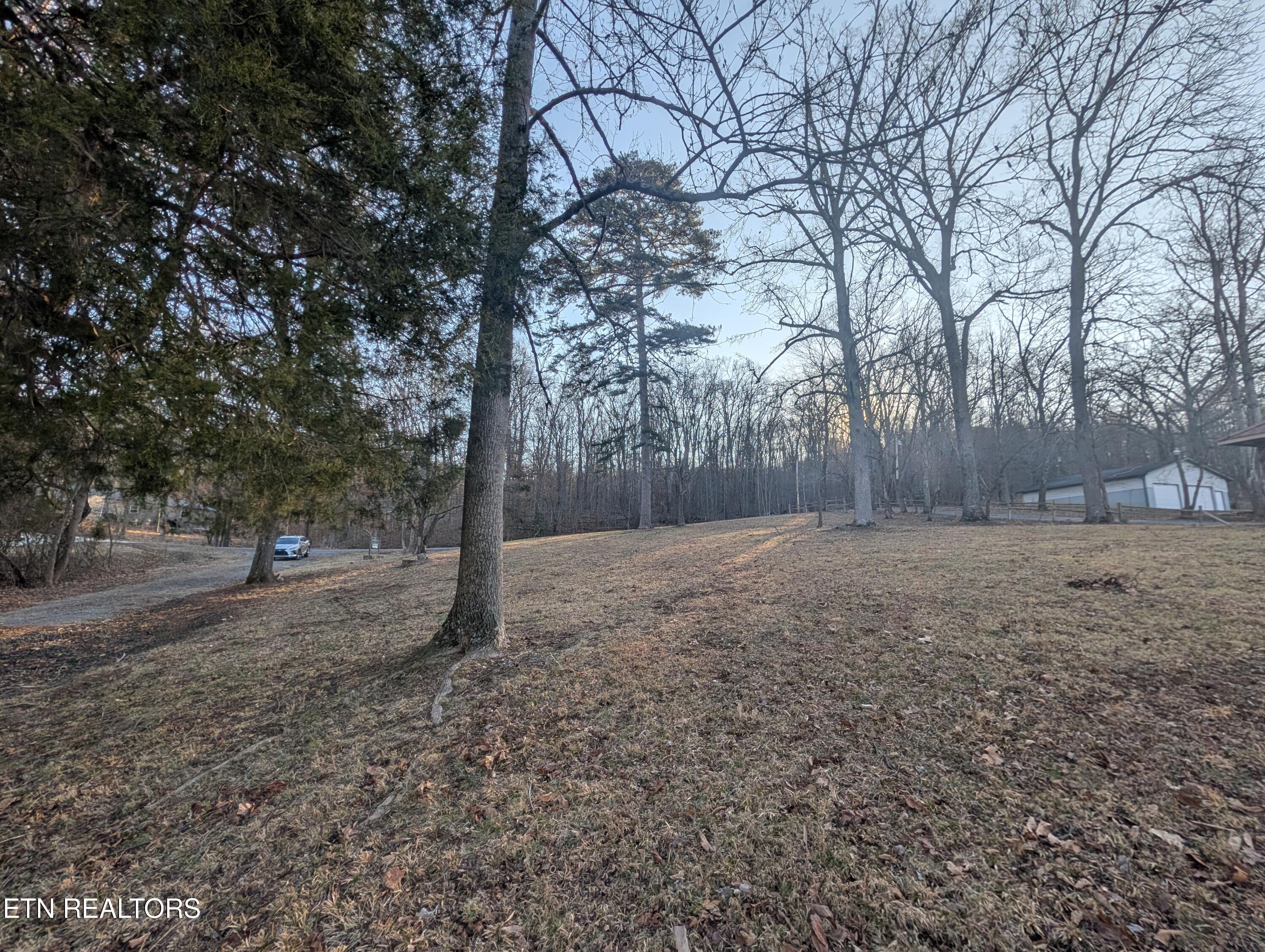 Image 3: PXL_20260209_140122068