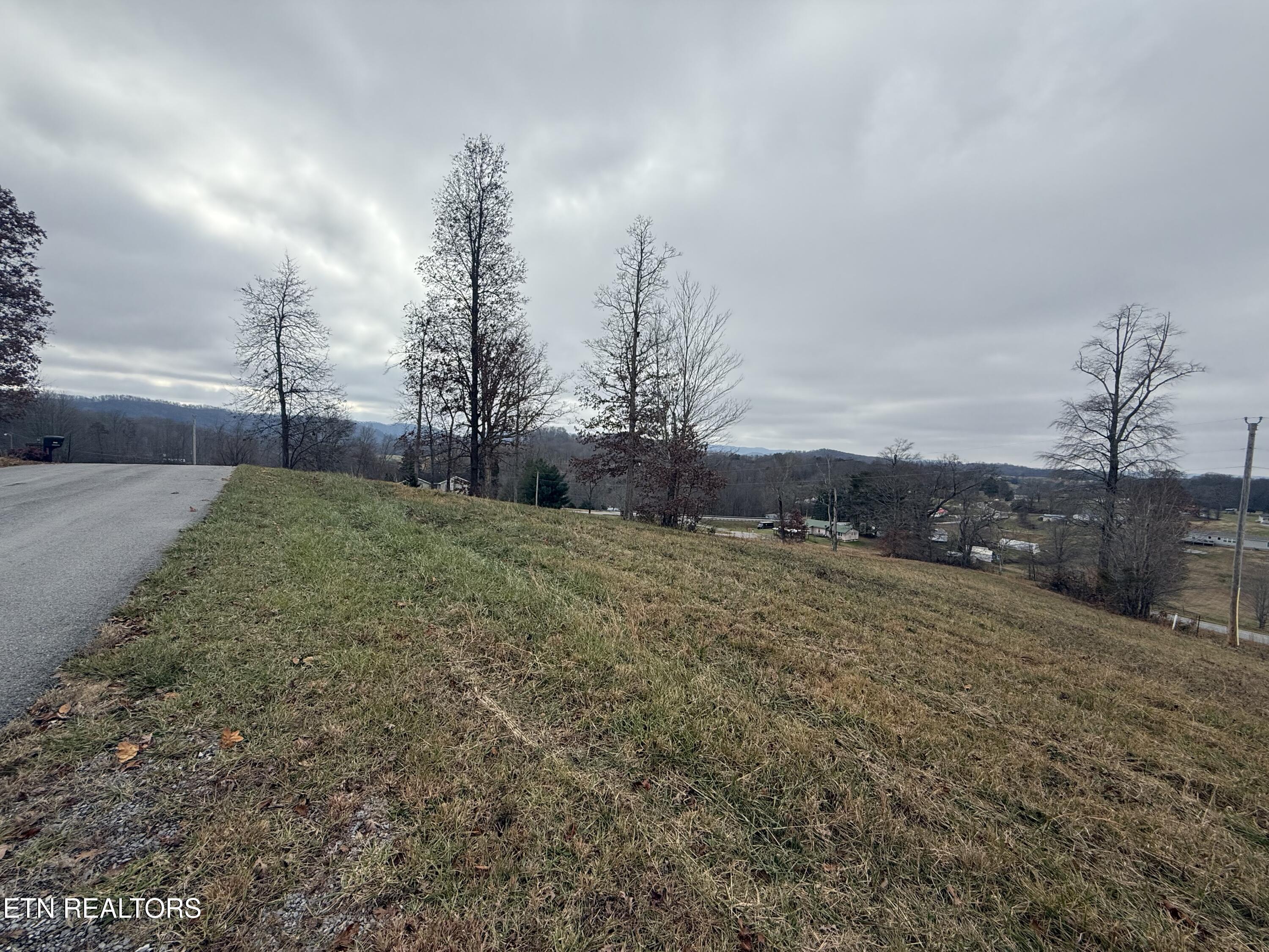 Image 4: IMG_3397
