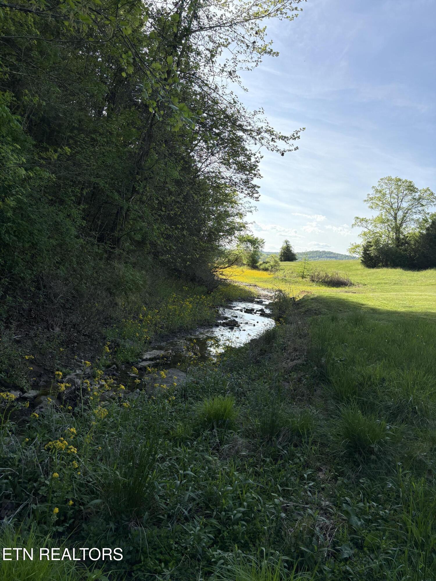 Image 4: IMG_8527