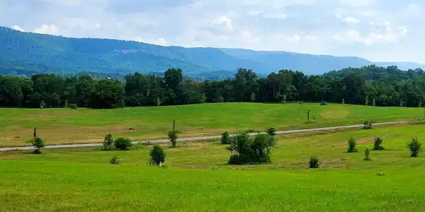 Image 3: Views 2