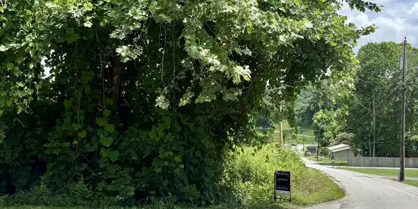 0 Davis Hollow Rd