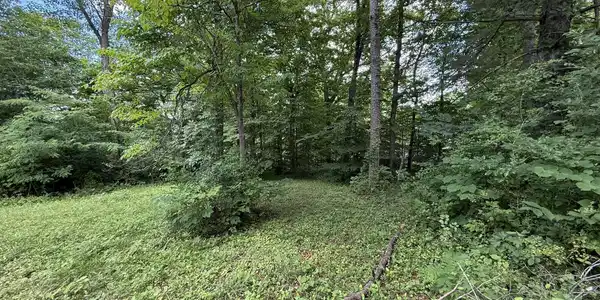 Image 3: IMG_7077