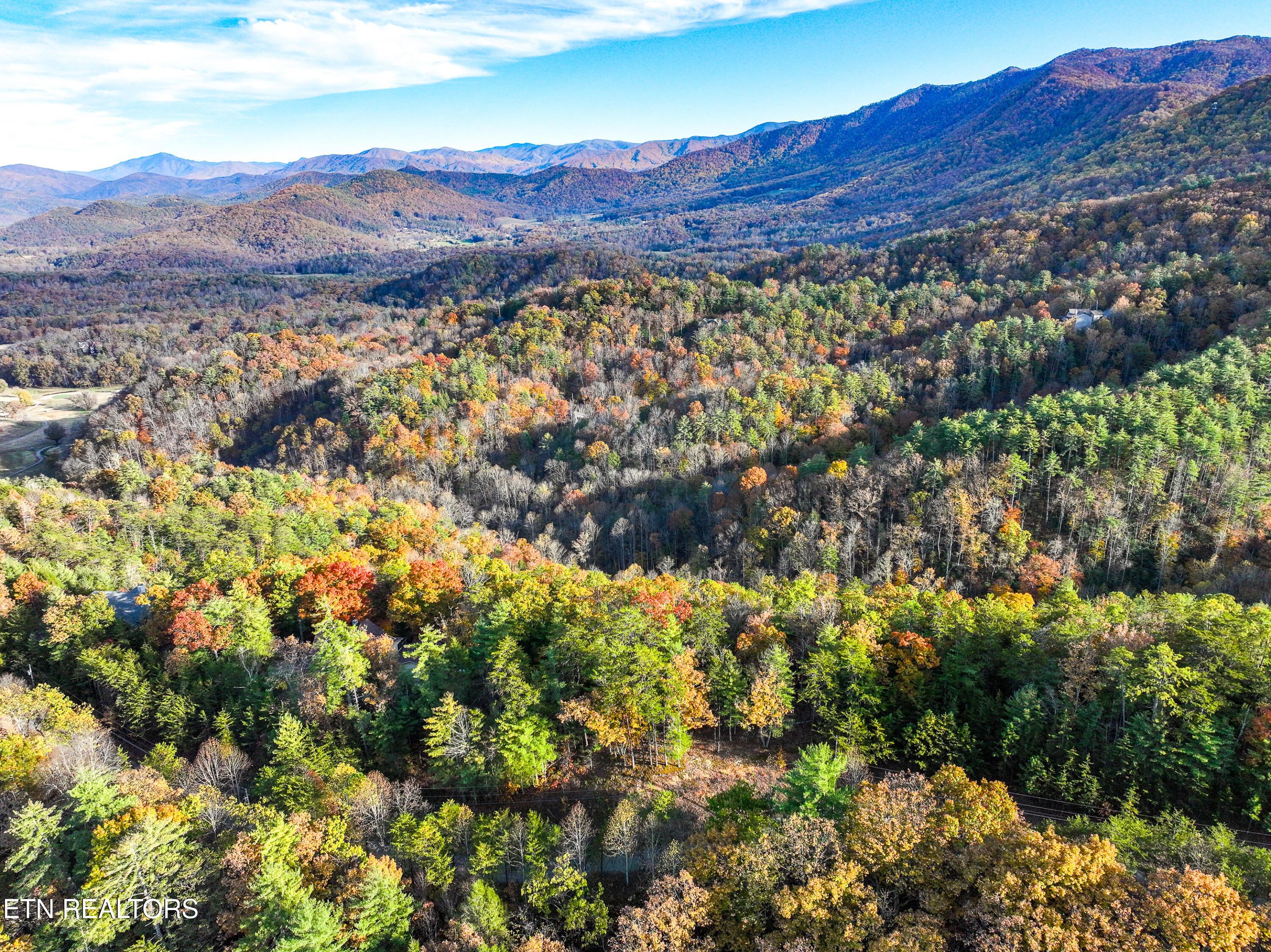Image 2: DJI_0949