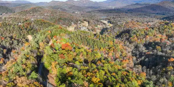 Image 3: DJI_0951