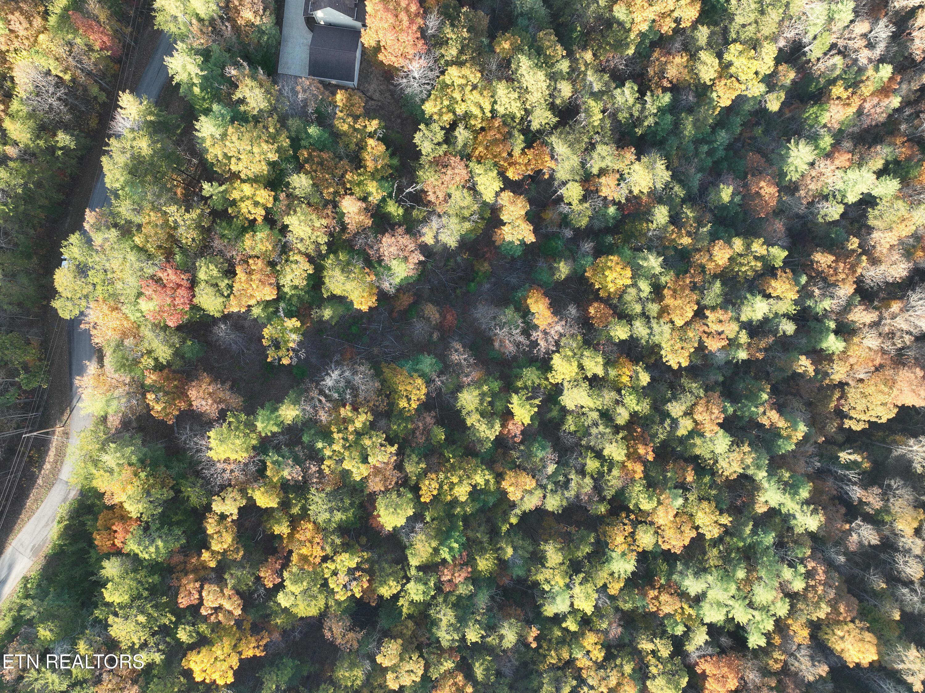 Image 4: DJI_0960