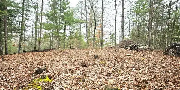 Image 2: 4