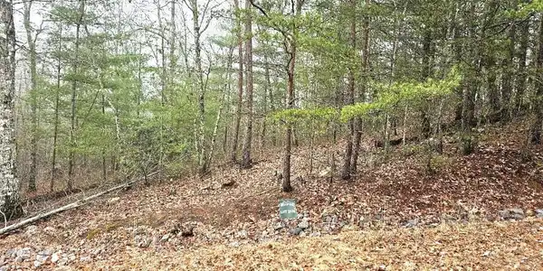 Image 3: 3
