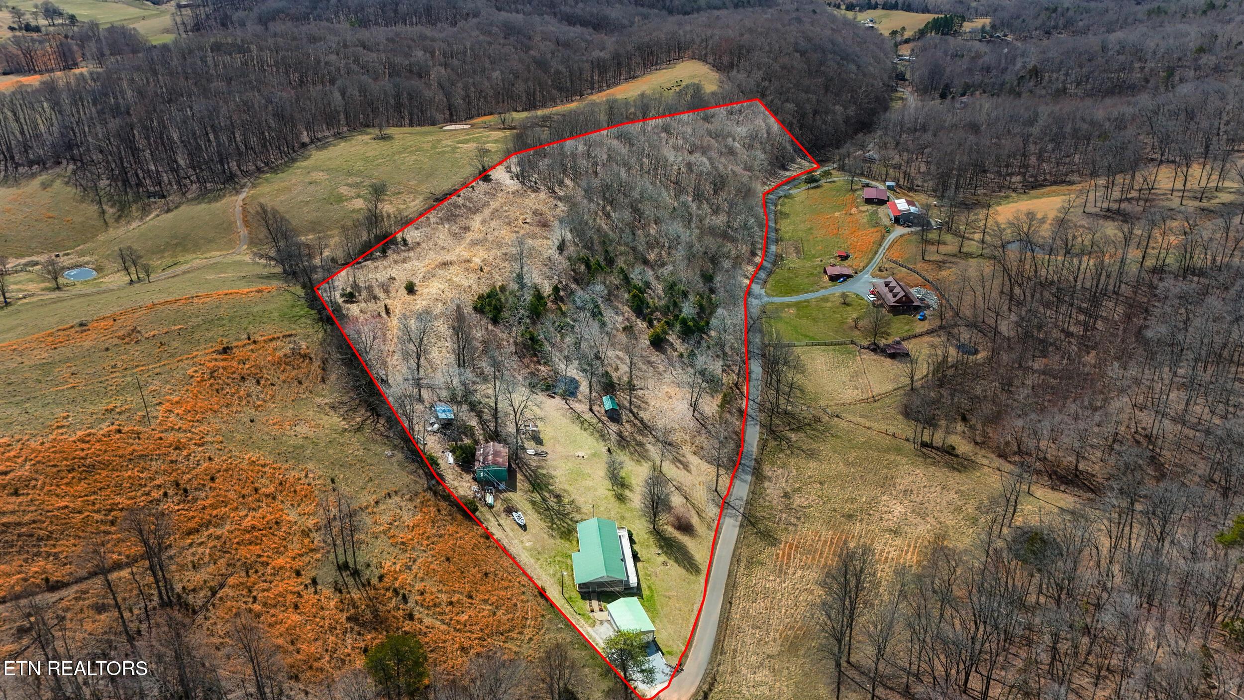 Image 4: 40_dji_20250301124857_0666_d