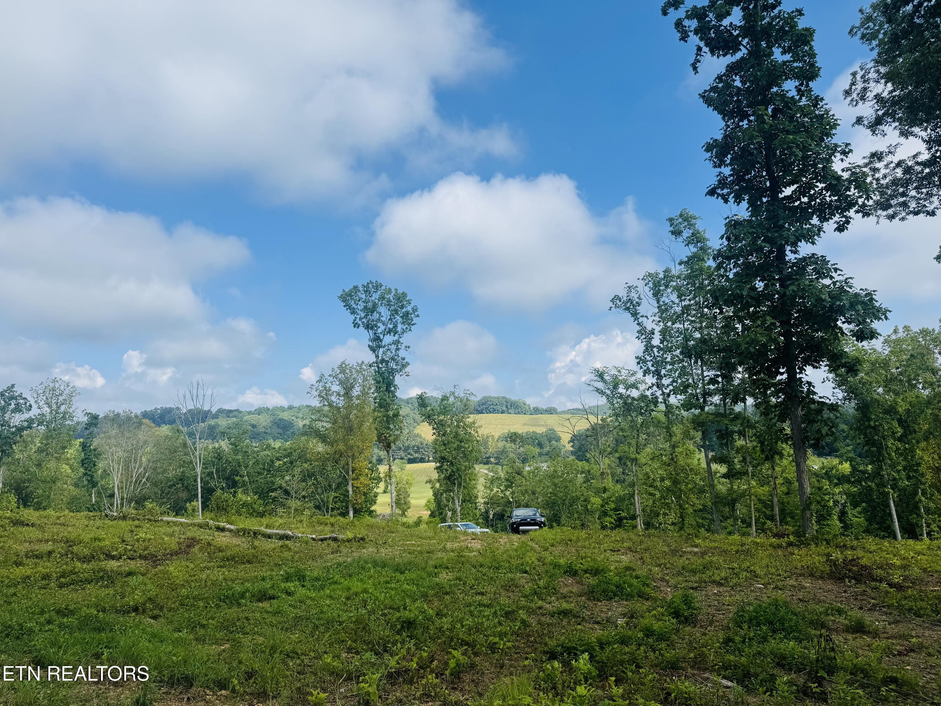 Image 3: IMG_0933