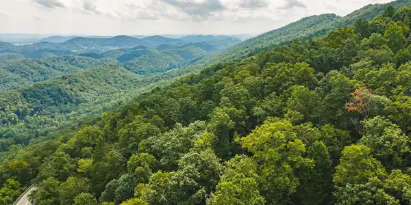 Image 4: DJI_20260810155330_0547_D